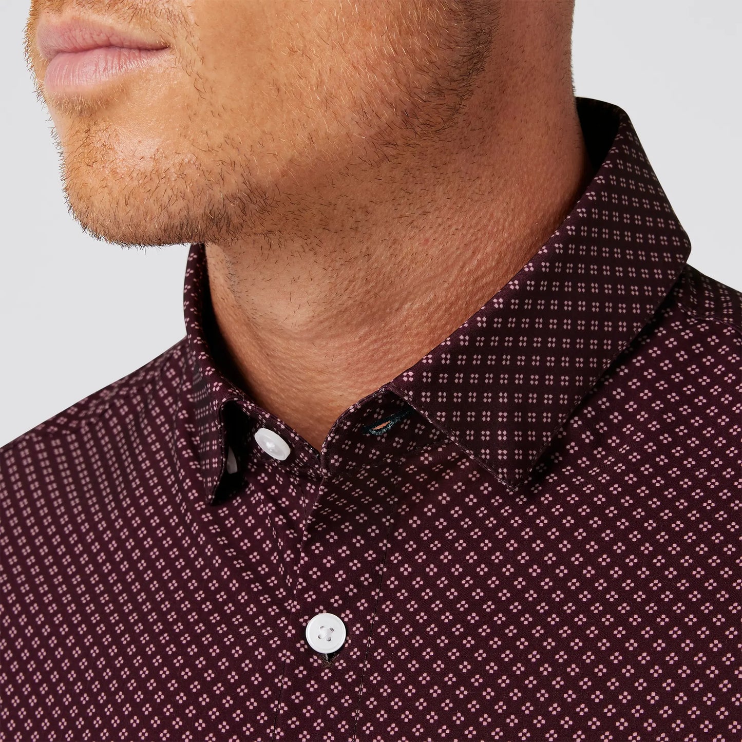 Leeward No Tuck Dress Shirt - Wine Clover